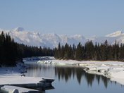 Bow River in Winter