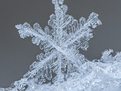 Snowflake on a windy day 