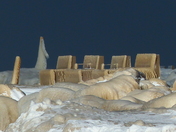 Golden Thrones....Fit For The King and Queen