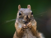 Up close and personal