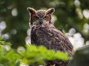 Are you looking at me?