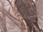 Waiting Out the Storm