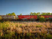 Abandoned Canada Train Cars, Saskatchewan