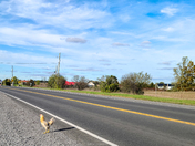 There's a Joke in Here Somewhere