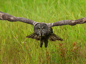 Are you looking at me?