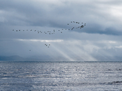 Juan de Fuca Weather