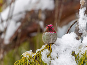 Raindrops Keep Falling on My Head