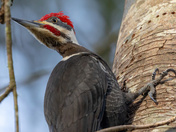 This is My Good Side