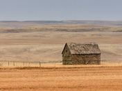 Weathered Shed on the Prairie