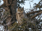 Me Watching You....Watching Me