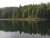 More than meets the eye.