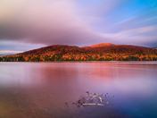 In the morning light 