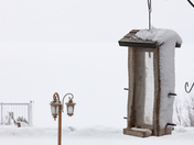 The Winter of Our Discontent Revisited