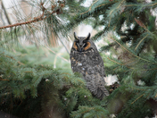 Hoo are you looking at