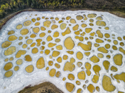 Spotted Lake, Osoyoos, B.C.