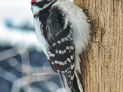 Brrrr its cold out here