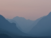 forests in mists & wildfire smoke