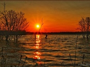 "Just a lil Flooding"... (Ottawa, Ontario) 