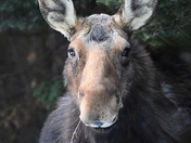 Lunchtime with a pretty lady