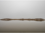 Foggt Morning in Burlington, Ontario