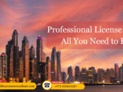 Professional License in Dubai: All You Need to Know