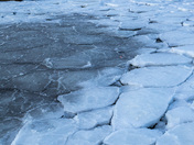 Ice on the Shore