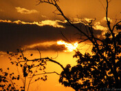 Harvest Sun Drop... (Ottawa, Ontario) 