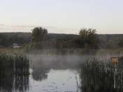 Early Morning Fog