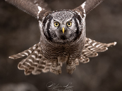 Right Place, Right Time