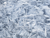 Nature's Abstract: Ice Shards