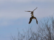 There's Something Happening Here.....