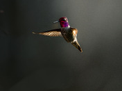 Glittering happiness 