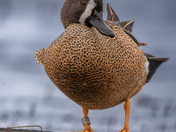 I'm Ready for My Close-up