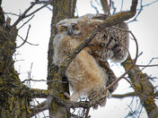 Here's Looking at You