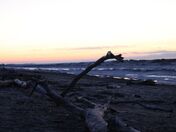 Beach Log At Sunset