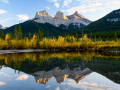 Three Sisters Autum Glory