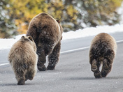 South bound on Hwy 40 Kananaskis