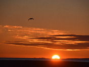 Spring Sunrise
