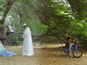 Fading mother nature 