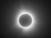 Total Eclipse with Solar Prominences