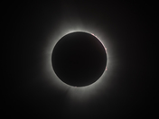 Total Eclipse with Solar Prominences