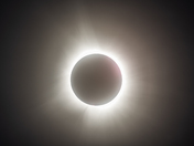 Total Eclipse with Solar Prominences