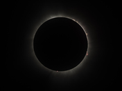 Total Eclipse with Solar Prominences