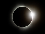 Total Eclipse with Solar Prominences