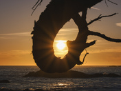 West Coast sunset framed