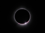 Eclipse Totality - April 8th