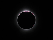 Eclipse Totality - April 8th
