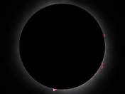 Solar Eclipse with Prominences