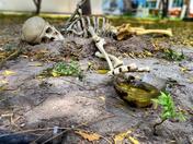 From Grease to Grave 