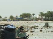 Hope on a sorrowful beach 